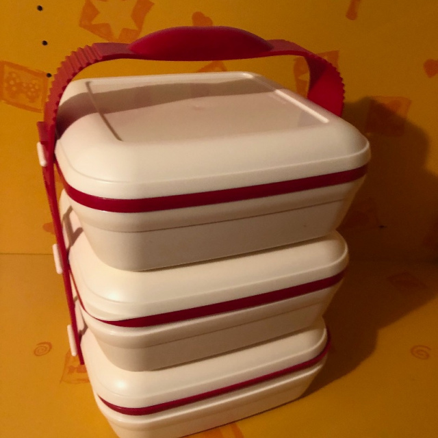 Picknick SET Tragegriff 