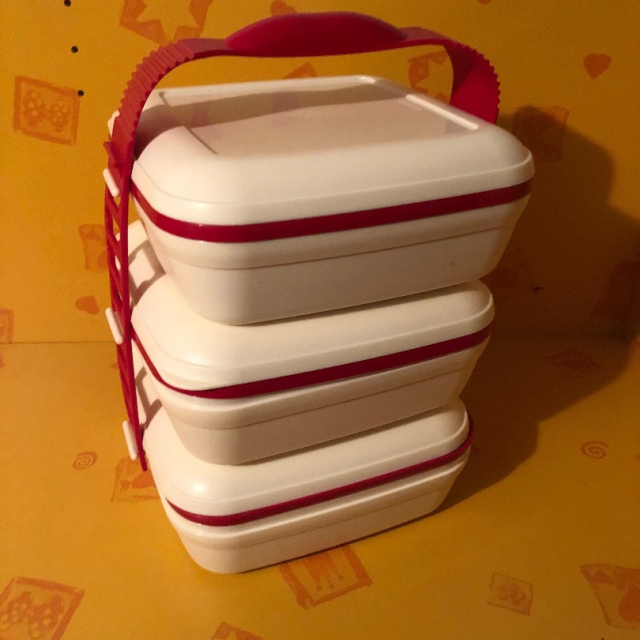 Picknick SET Tragegriff 