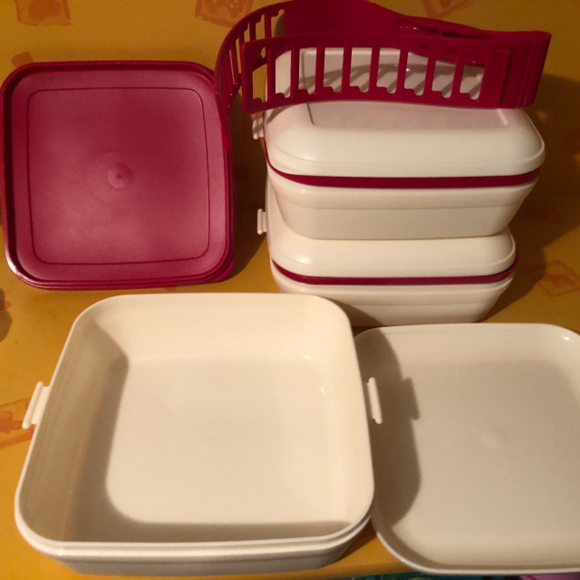 Picknick SET Tragegriff 