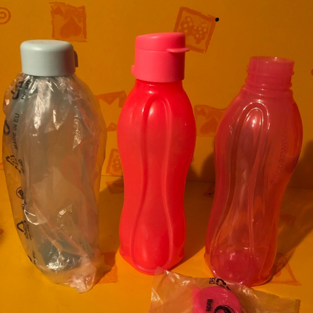 Eco Easy Flasche 500ml versace. Farben