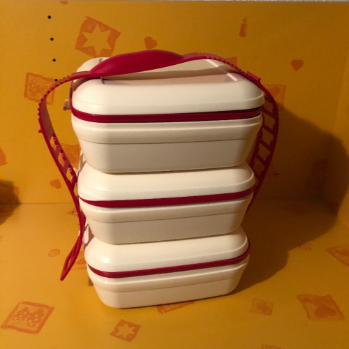 Picknick SET Tragegriff 