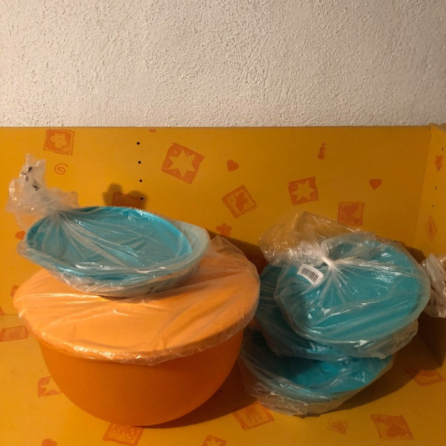 Junge Welle Schale 7,3l