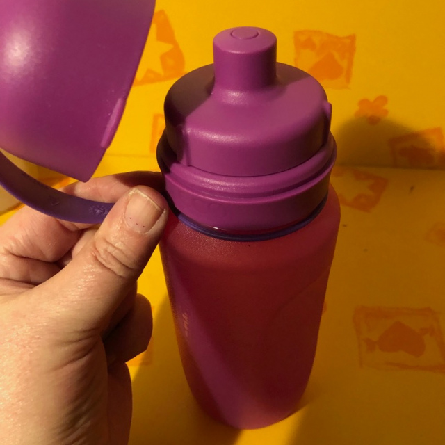 Trinkflasche lila 