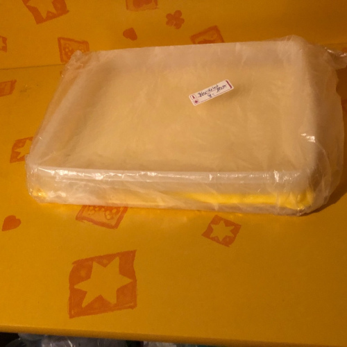 Gefrierbehälter groß & flach