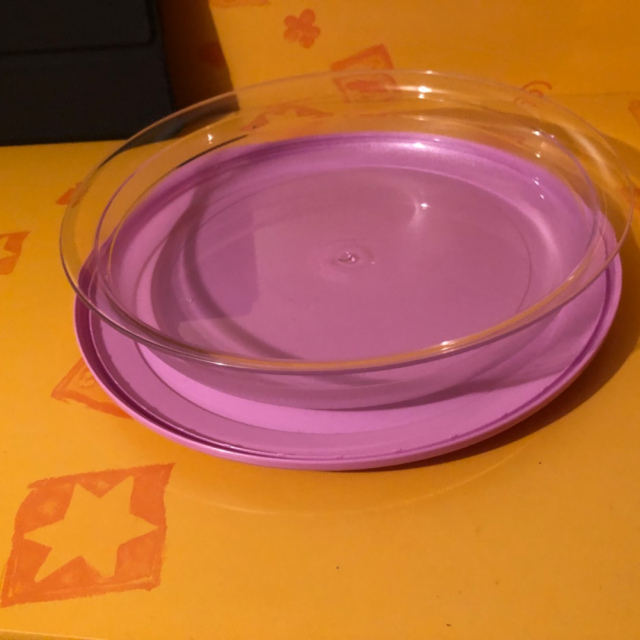 Tafelperle flach 1,3 l