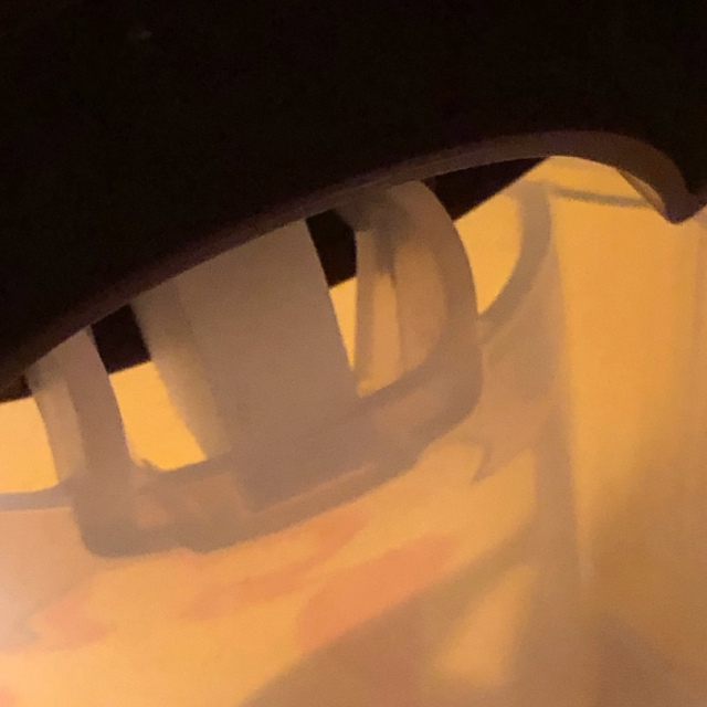 Eidgenosse plus 1,6 l