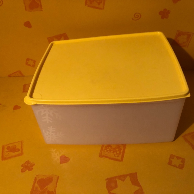 Gefrierbehälter groß 